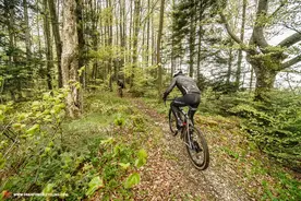 全地形专用 4款高性能gravel bike轮组介绍图片