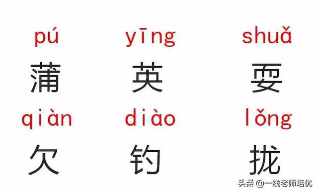 知识点+练习题 】部编版三年级语文上册 16 金色的草地
