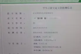 论文查重“黑市”：售价几元到上千，有商家以山寨网站欺骗消费者图片