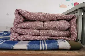 住宿生违纪的处理图片