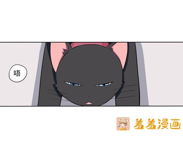 夜路走多了，竟捡到宝，带着巨钻的小黑猫一只