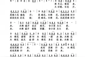 歌曲《木棉花开 英雄归来》图片