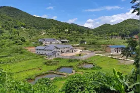 去高山上的古村看客家特色民居，到古树下摘红菇，进苗竹林挖竹笋图片