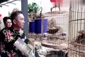 杨少华的豪华大宅，家里全是老物件，室内舞台和室外假山认真的吗图片
