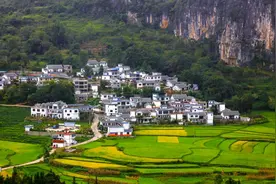 免学费的四川省乡村振兴专项就业有保障吗？图片