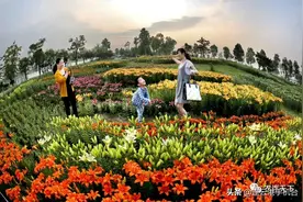 国庆旅行攻略 连云港乡村旅游精品线路了解一下图片