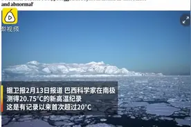 南极血红一片，1500万动物一夜死亡！危及75亿人的灾难，已经发生图片