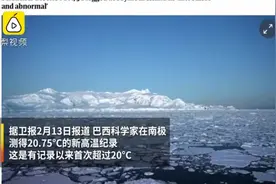 南极血红一片，1500万动物一夜死亡！危及75亿人的灾难，已经发生图片