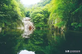 【文化博览】瀑布飞泻、泉水叮咚…信阳这个山谷，你去过吗？图片