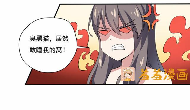 夜路走多了，竟捡到宝，带着巨钻的小黑猫一只