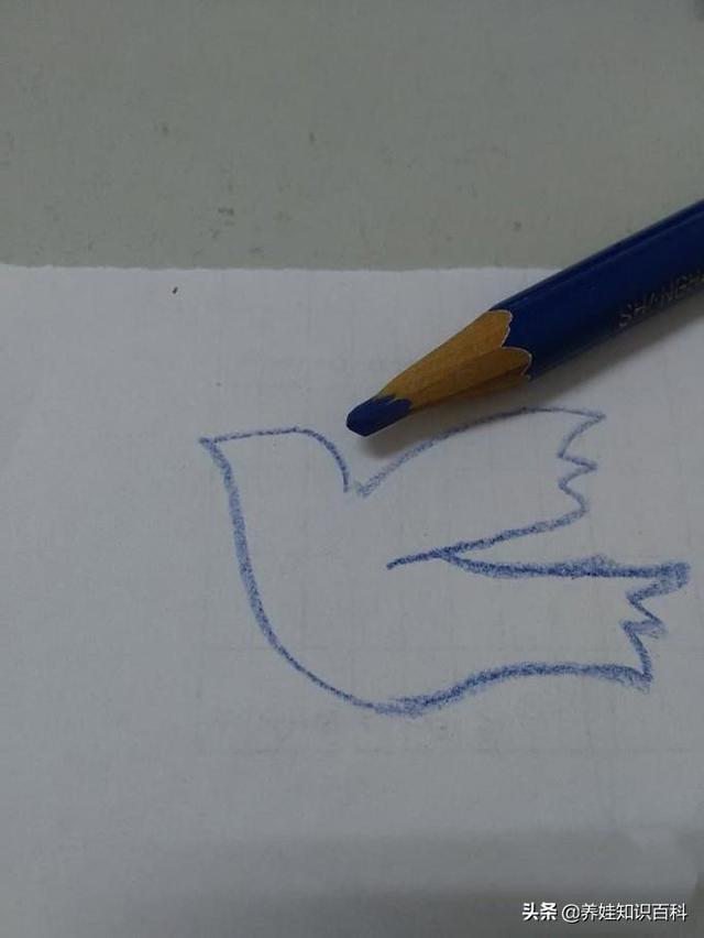 和平鸽怎么画？这样画，一分钟就可以学会，让孩子懂得和平即美好