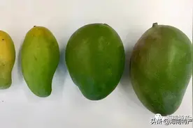 海南热带水果全介绍（第1篇）图片