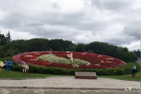 昆明世界园艺博览园，欣赏植物花卉的好去处图片