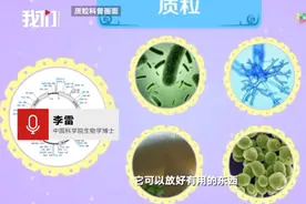 重庆海关查获24支“重组质粒”专家：能自我复制，存在生物安全风险图片