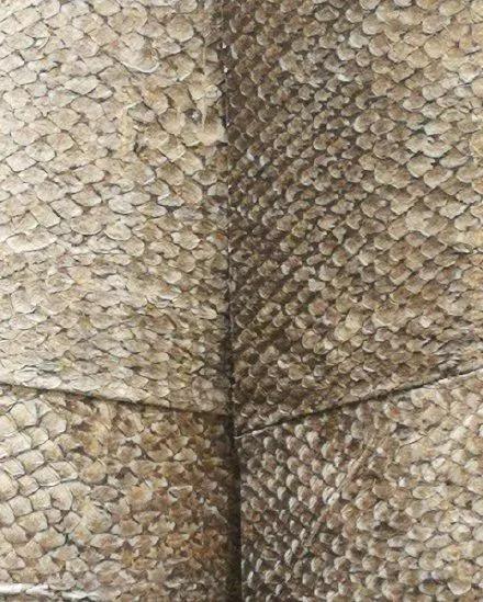 如何泡发干鱼皮 2026年怎么泡发干鱼皮 如何泡发干鱼皮 2026年怎么泡发干鱼皮