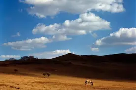 传承经典，焕发新生 | 哈苏907X 50C，再塑传奇图片