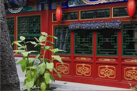 301平混搭风四合院，胡同里的老宅院，古色古香兼具西式元素图片