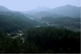 毛泽东的“草根”之家图片