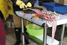 疫情下的“野味” 有商家转场网络挂靠资质“洗白”图片