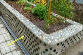 男子找100个啤酒瓶，用混凝土砌一个“长花坛”，结果成了马蜂窝图片