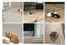 每日一笑。图片