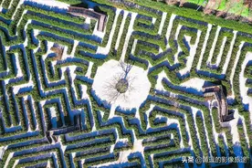昆明现8200平米“植物迷宫”游客挑战“树篱阵”图片
