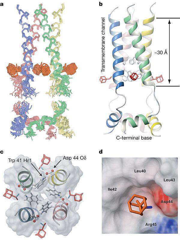 “随意”聚出来的聚合物，如何登上Nature？