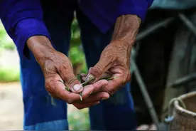 为啥说“大手抓柴，小手抓金”？如何区别大小手？你的手是大是小图片