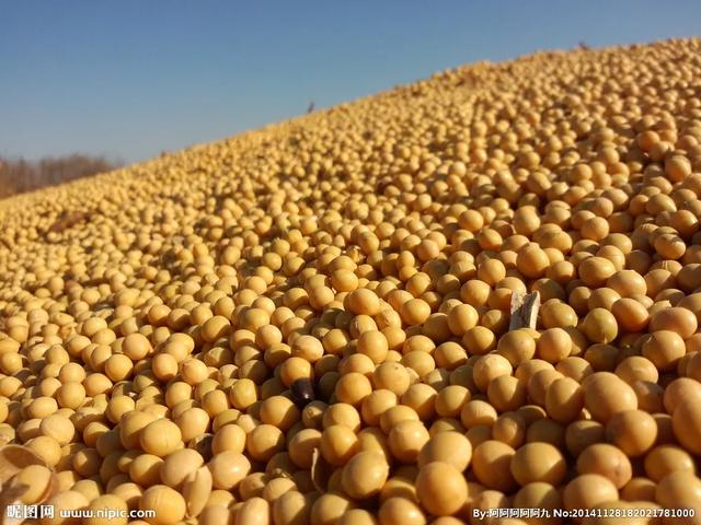 中国首钢用尾气合成蛋白质，全球首次的技术为啥还被喷了？