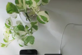 iPhone 4、iPod Classic 居然「复活」了？图片