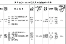 沈阳迎沈八条后首次土拍公告 哪些板块还有土地红利可寻？图片