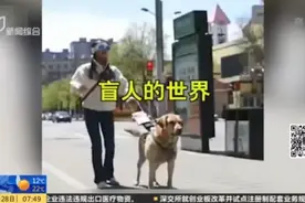 交警扮盲人带导盲犬坐公交被拒 狗狗哭了 太原公交致歉：扣罚当值司机工资图片