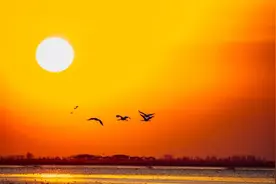 群魔乱舞正当时图片