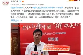 全国人大代表建议：周末改小长假，每月凑一个3天假期图片