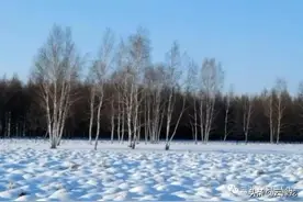 知青回忆与反思：开发北大荒的艰苦程度仅次于战争图片