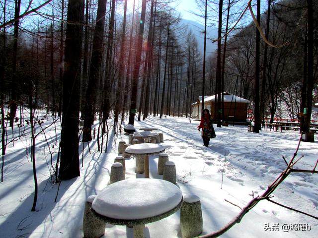 漫话九十年代前的关门山那时还是一座林场一切都是原生态