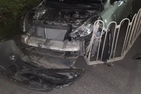 路边小猫冲出钻进车头盖，男子吓坏猛打方向盘冲向护栏！图片