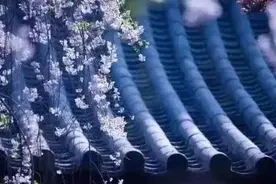 春盈四海，夏郁五湖。图片