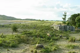 农村俗语“坟上万物生土堆，先富后贫子孙亏”，啥意思？在理吗？图片