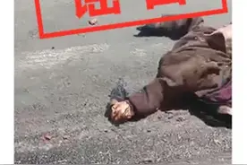 河北尚义县出现狼吃人？官方辟谣图片
