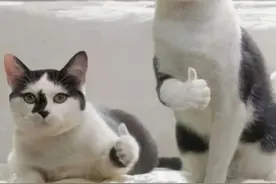 吐血整理社保报销的16个技巧，比别人多报几万块图片