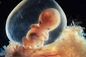 天堂的宝宝，妈妈在等你，玩累了记得回来找妈妈图片