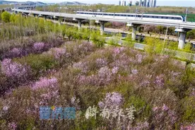 济南地铁第二期建设规划已上报，6条线路计划年内开工图片