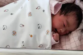 小老虎退黄疸的心路历程（一）图片