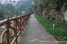 重庆市北碚区黑水滩河有一段放生源，发生颜东魁勇斗母猪龙的故事图片