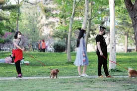 《天津市文明行为促进条例》施行一周年特别报道（五）新区的文明养犬人越来越多了图片