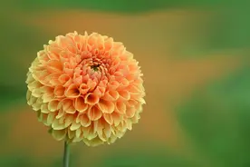 当你被人瞧不起了，翻脸其实是愚蠢的做法，做到这些就能赢回脸面图片