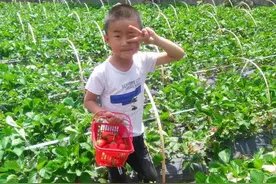 寻人：儿子啊，爸爸太想你了图片