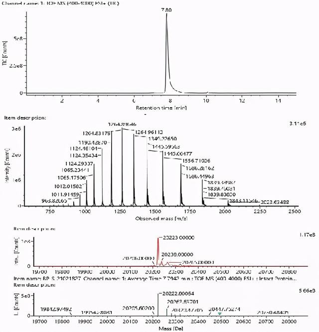 鎶€鏈崌绾т辅楂樺垎杈ㄨ川璋卞姪鍔涘ぇ鍒嗗瓙铔嬬櫧鑽墿缁撴瀯纭瘉鐮旂┒