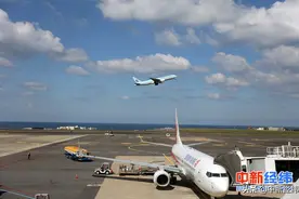 限制条件多、二次抢票难“随心飞”是割韭菜还是被薅羊毛？图片